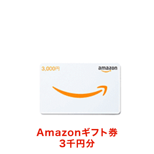 2024xmaspre_amazon3000