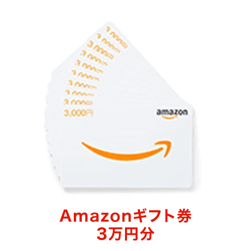 2024xmaspre_amazon30000